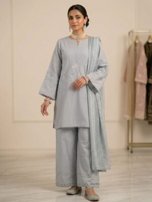 Elegant Party Wear Three Piece Ensemble